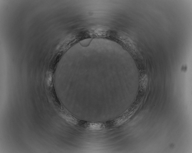 X0000095110709200712301736