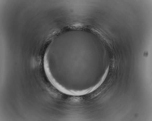 X0000095110711200712301736