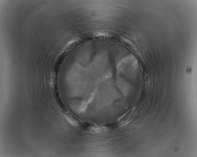 X0000095110712200712301736