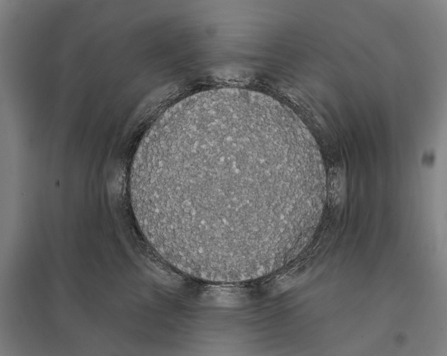 X0000095110713200712301736