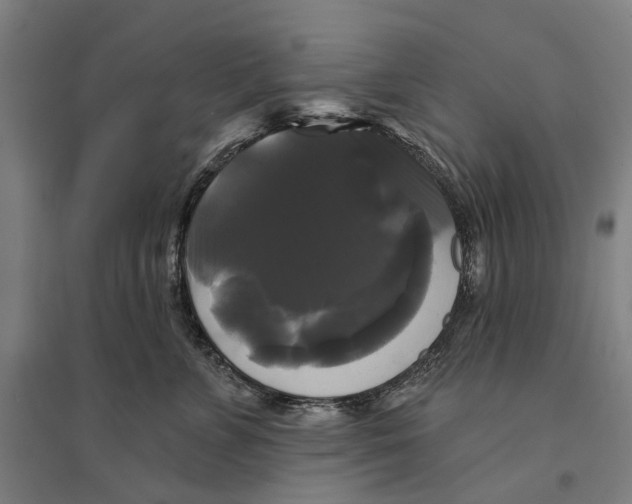 X0000095110715200712301736