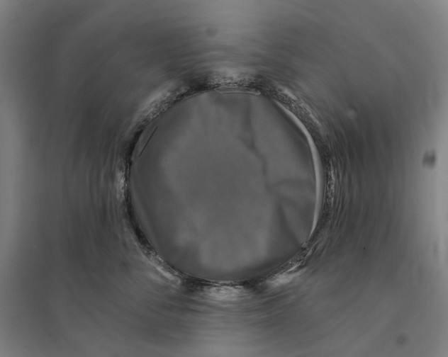 X0000095110716200712301736