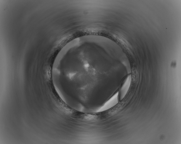 X0000095110718200712301736