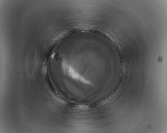 X0000095110719200712301736