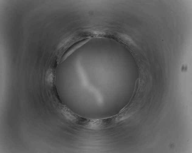 X0000095110720200712301736