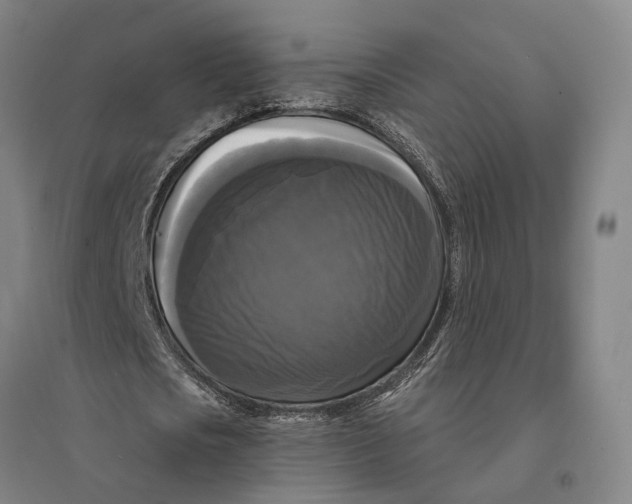 X0000095110721200712301735