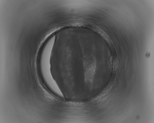 X0000095110722200712301735