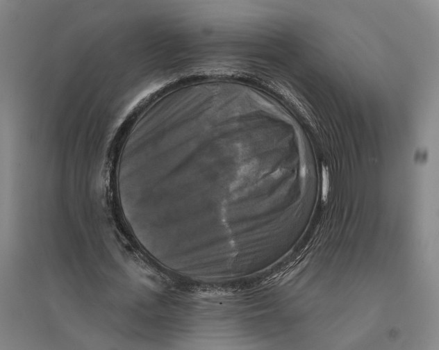 X0000095110723200712301735