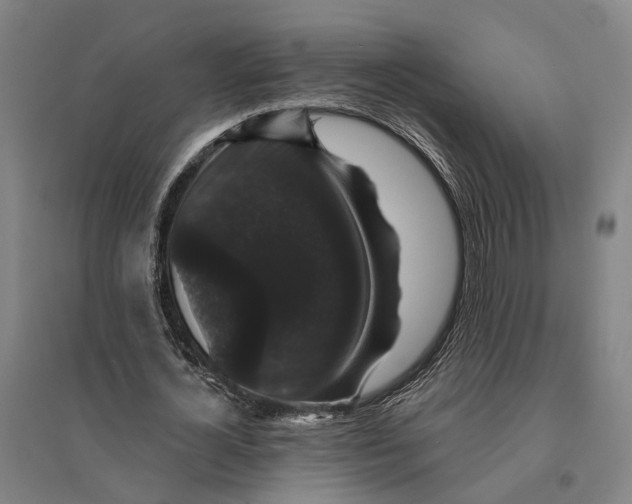 X0000095110724200712301735