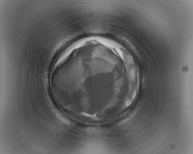 X0000095110725200712301735