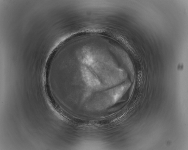 X0000095110726200712301735