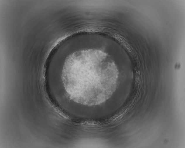 X0000095110727200712301736