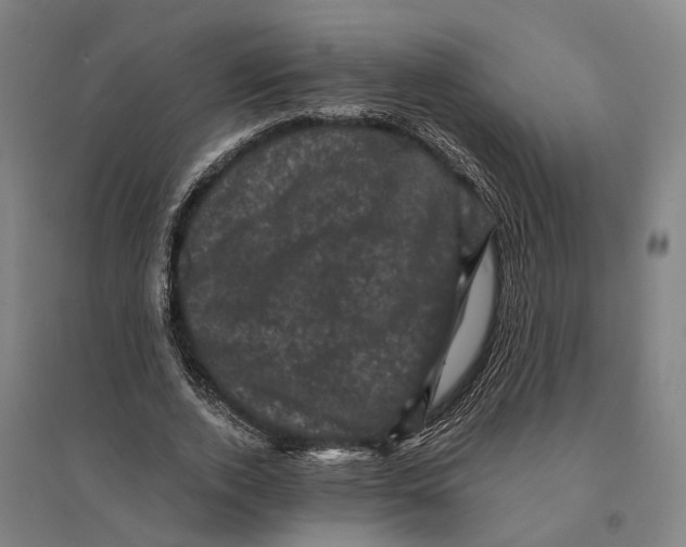 X0000095110728200712301736