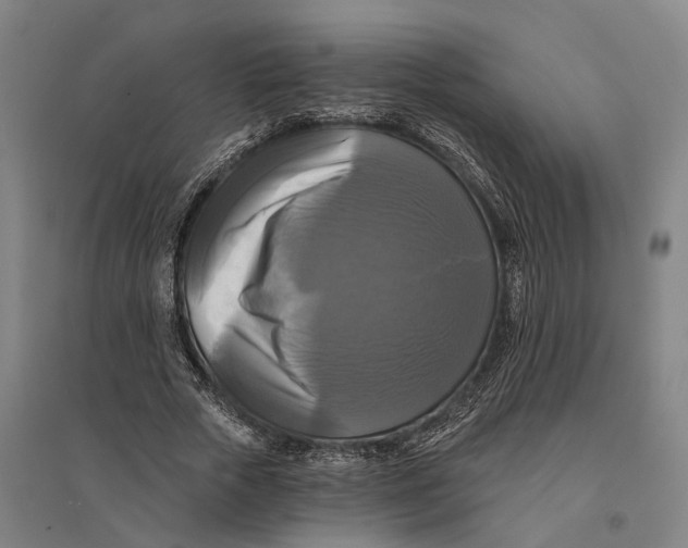 X0000095110729200712301736