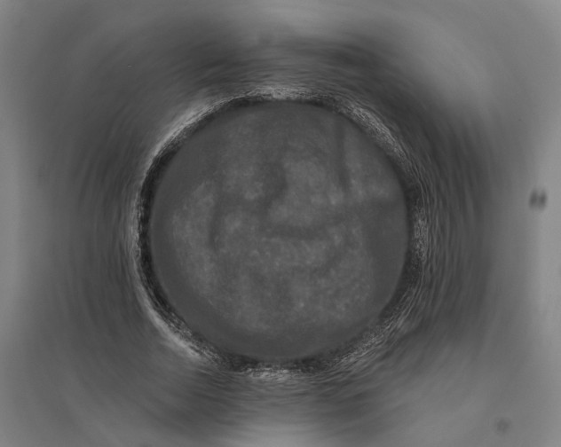 X0000095110730200712301736