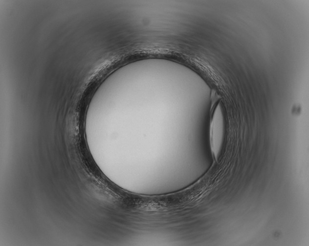 X0000095110731200712301736