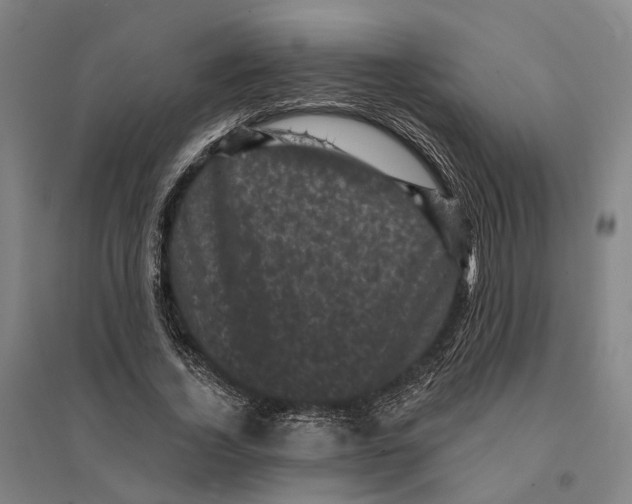 X0000095110732200712301736