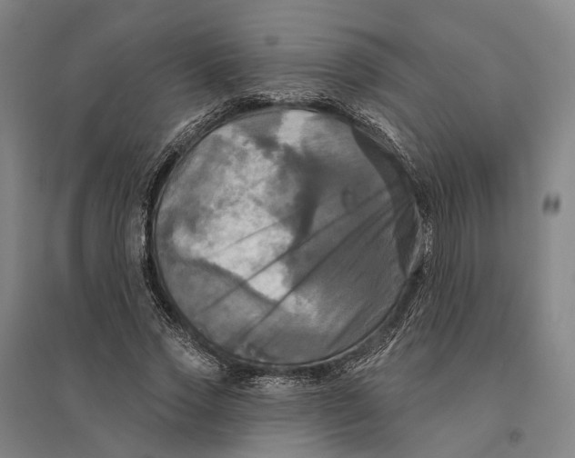 X0000095110733200712301736