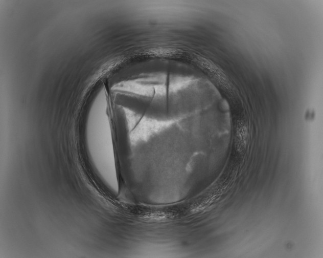 X0000095110734200712301736