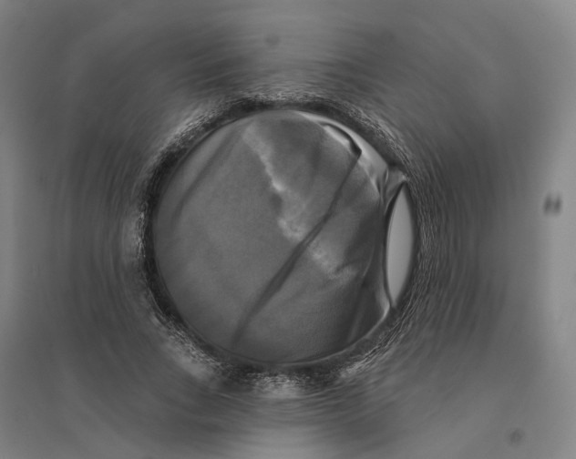 X0000095110735200712301736