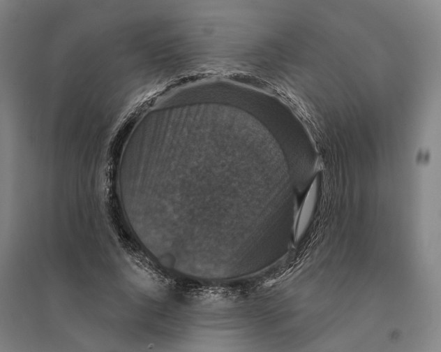 X0000095110736200712301736