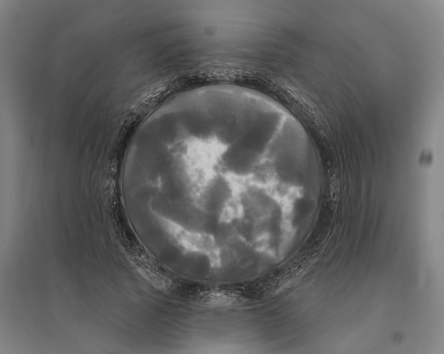 X0000095110737200712301736