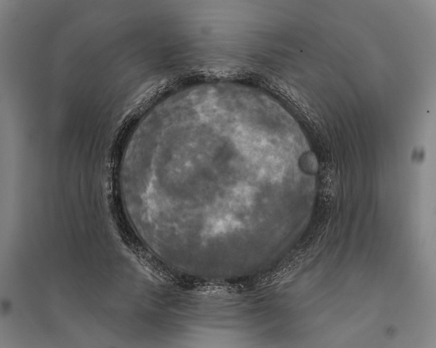 X0000095110738200712301736