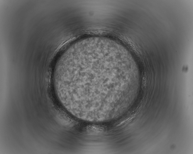 X0000095110739200712301736