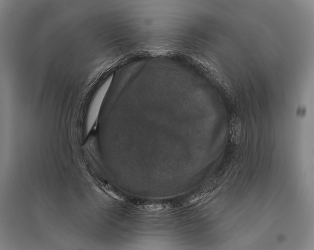 X0000095110740200712301736