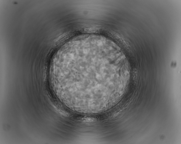 X0000095110741200712301736