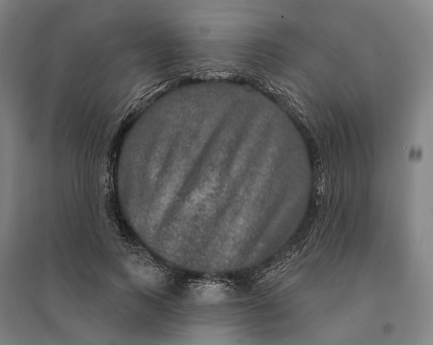 X0000095110743200712301736