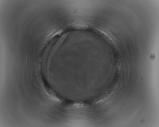 X0000095110744200712301736