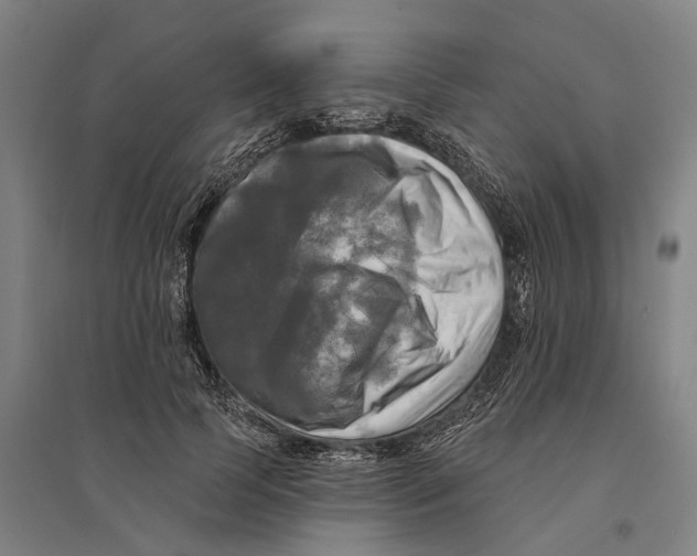 X0000095110745200712301736