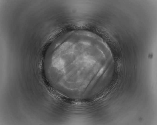 X0000095110746200712301736