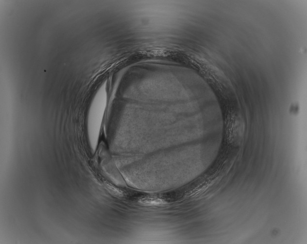 X0000095110747200712301736