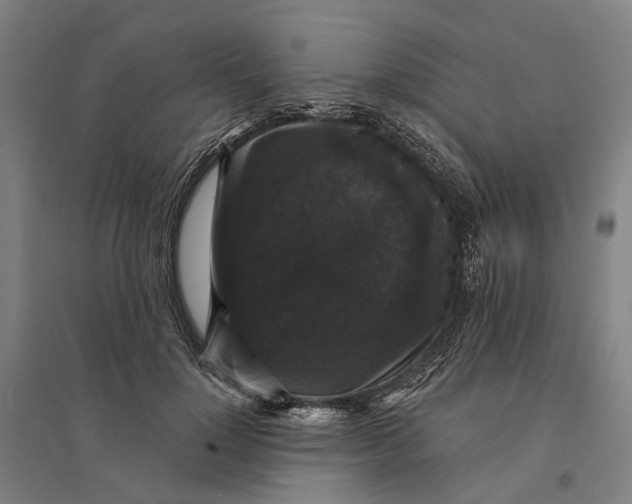 X0000095110748200712301736