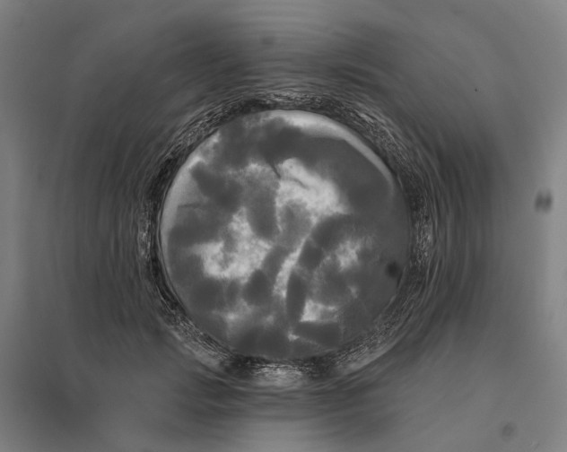 X0000095110749200712301736