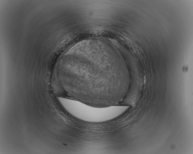 X0000095110750200712301736