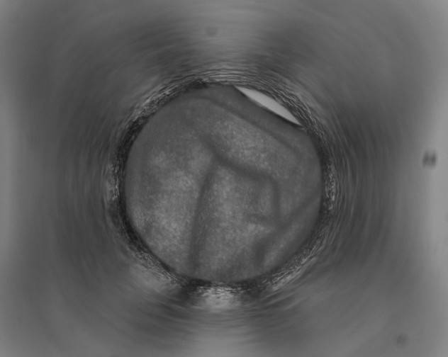 X0000095110751200712301736