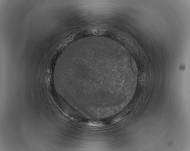 X0000095110752200712301736