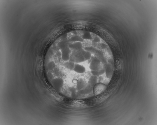 X0000095110753200712301736