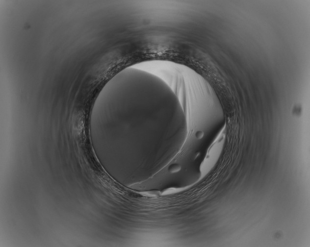 X0000095110754200712301736