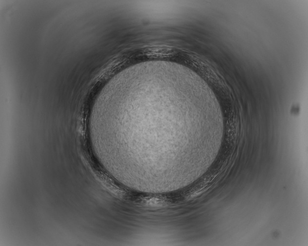 X0000095110755200712301736