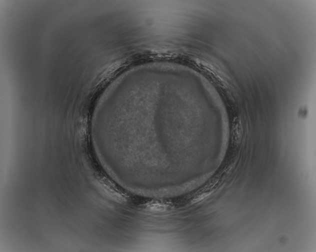 X0000095110756200712301736