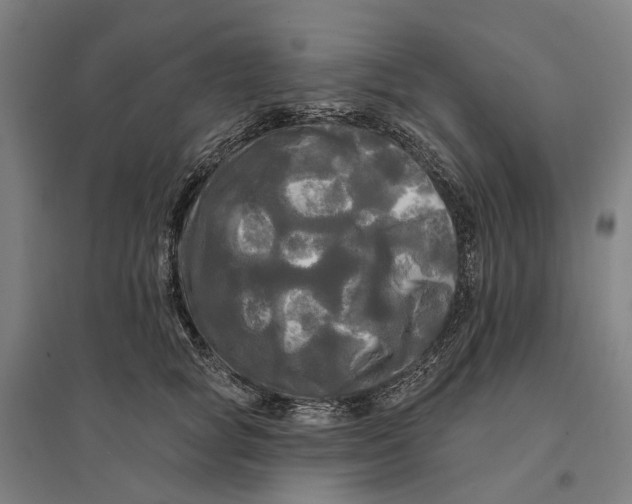 X0000095110757200712301736