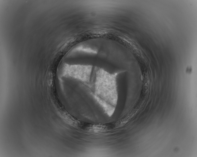 X0000095110758200712301736