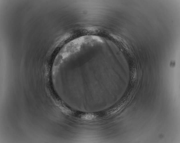 X0000095110759200712301736