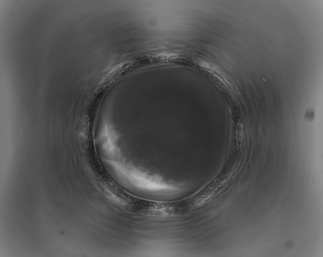 X0000095110760200712301736