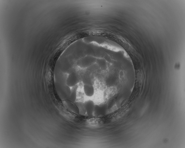 X0000095110761200712301736