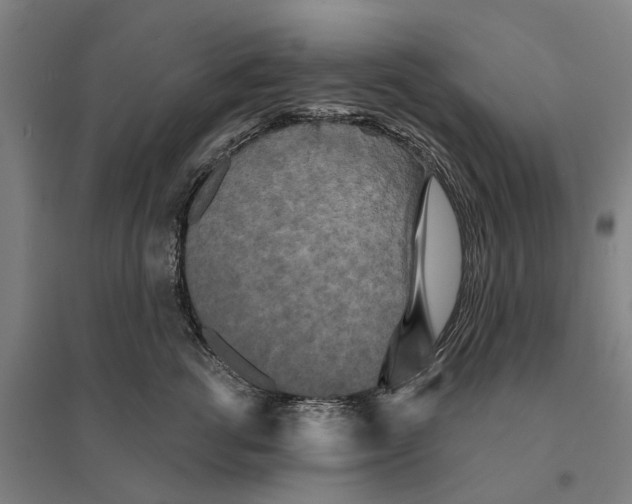 X0000095110762200712301736